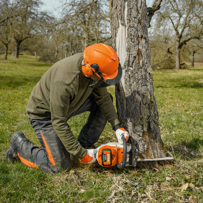 Stihl MSA220C-B 14" Chainsaw Shell | Chainsaws UK